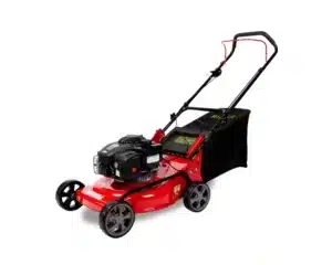 Benzininė savaeigė vejapjovė RIDER WYS-18 (2,8 kW, Briggs&Stratton)