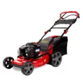 Benzininė savaeigė vejapjovė RIDER WYZ-18H (3 kW, Briggs&Stratton)