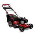 Benzininė savaeigė vejapjovė RIDER WYZ-18H (3 kW, Briggs&Stratton)