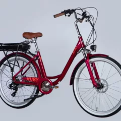 Elektrinis dviratis DOROZHNIK eRUBY (500 W)