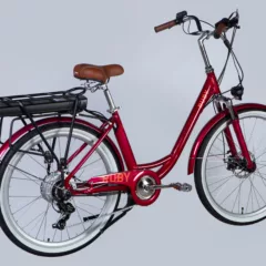 Elektrinis dviratis DOROZHNIK eRUBY (500 W)