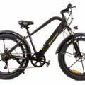 Elektrinis dviratis GREEN POWER CRUISER (500 W, 48 V / 10 Ah)