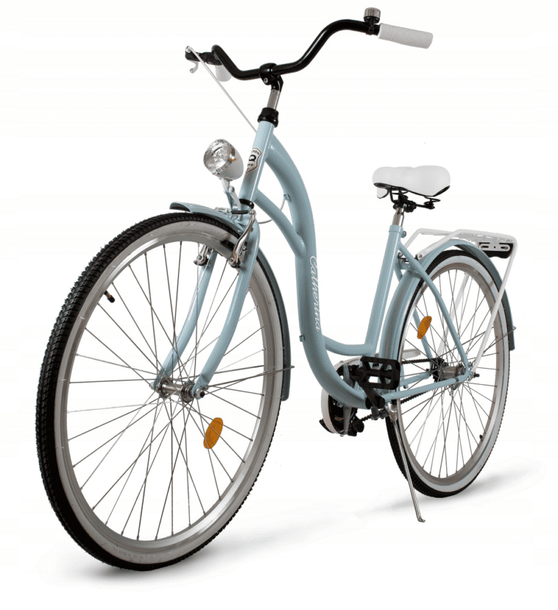 Dviratis QUEEN BIKE CATHERINA (28" ratai, 18" rėmas)