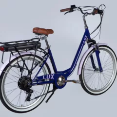 Elektrinis dviratis DOROZHNIK eLUX (500 W, 36 V / 12,5 Ah)