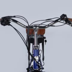Elektrinis dviratis DOROZHNIK eLUX (500 W, 36 V / 12,5 Ah)