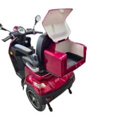 Elektrinis triratis SCUT CL-06Z-60 (1000 W)