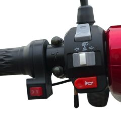Elektrinis keturratis SCUT CL-30ZR-60 (1000 W)