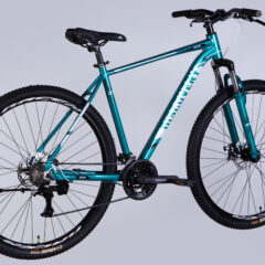 Dviratis DISCOVERY BASTION (29", 21")