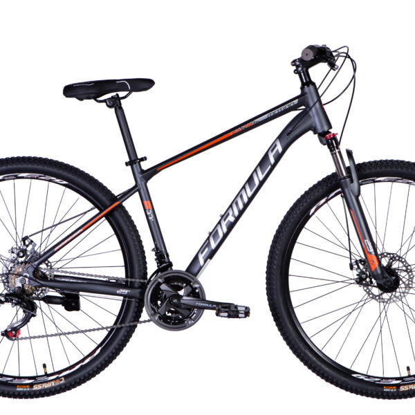 Dviratis FORMULA MOTION (29", 17", pilka) [2025 m. modelis]