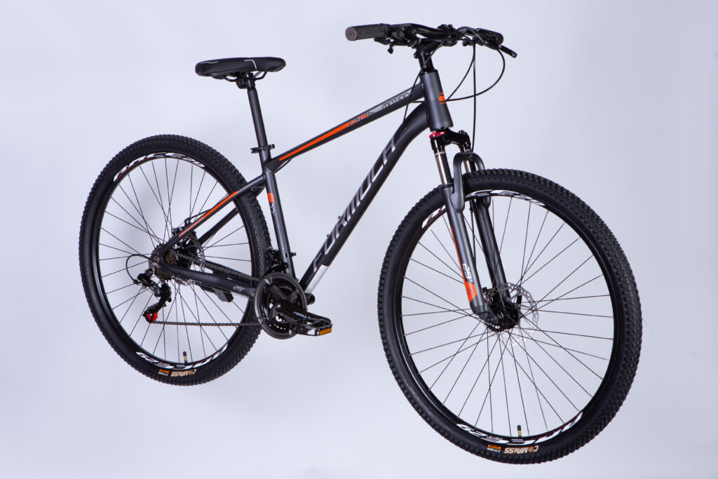 Dviratis FORMULA MOTION (29", 17", pilka) [2025 m. modelis]