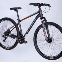 Dviratis FORMULA MOTION (29", 17", pilka) [2025 m. modelis]