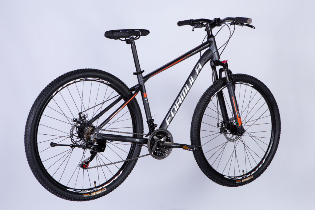 Dviratis FORMULA MOTION (29", 17", pilka) [2025 m. modelis]