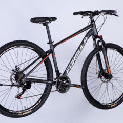 Dviratis FORMULA MOTION (29", 17", pilka) [2025 m. modelis]