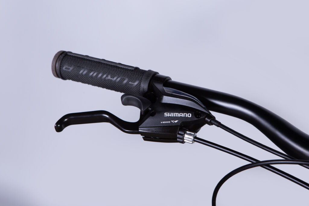 Dviratis FORMULA MOTION (29", 17", pilka) [2025 m. modelis]