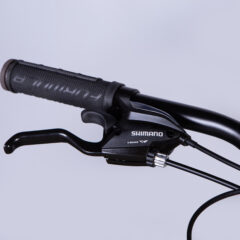 Dviratis FORMULA MOTION (29", 17", pilka) [2025 m. modelis]