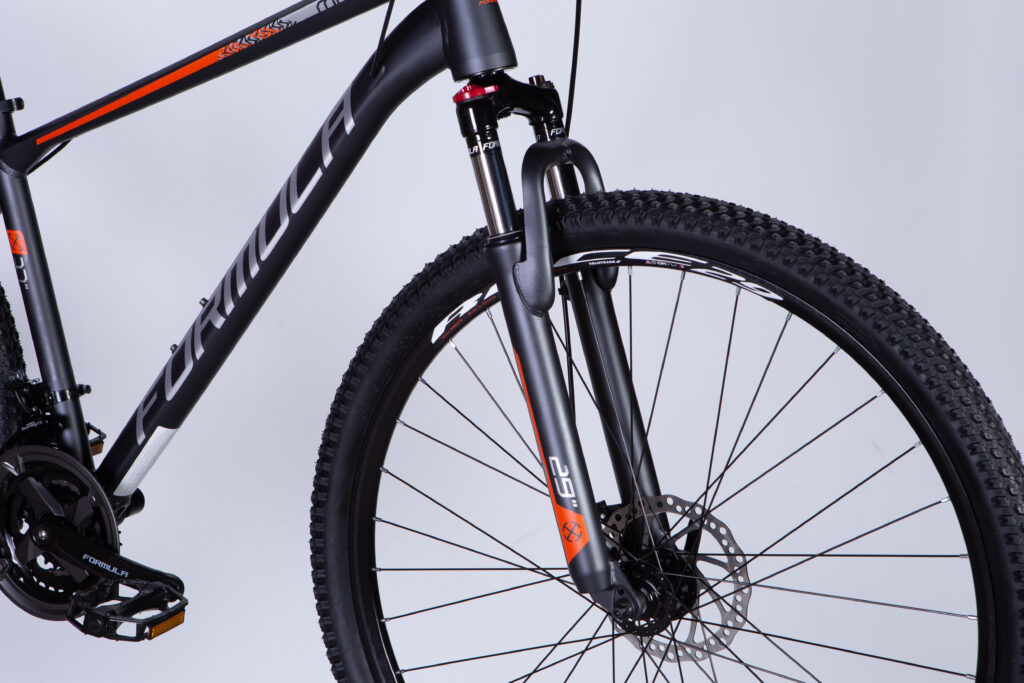 Dviratis FORMULA MOTION (29", 17", pilka) [2025 m. modelis]