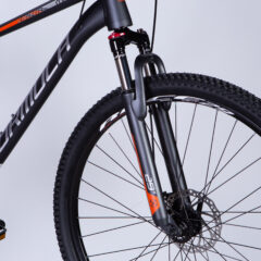 Dviratis FORMULA MOTION (29", 17", pilka) [2025 m. modelis]