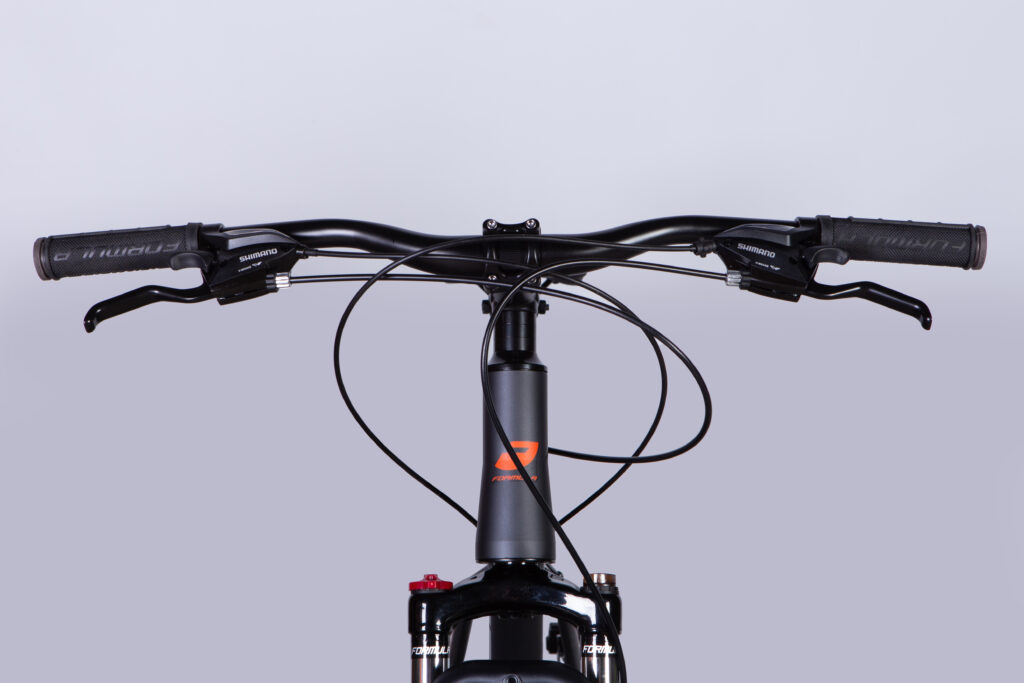 Dviratis FORMULA MOTION (29", 17", pilka) [2025 m. modelis]