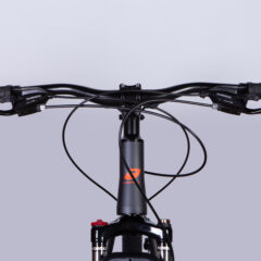 Dviratis FORMULA MOTION (29", 17", pilka) [2025 m. modelis]