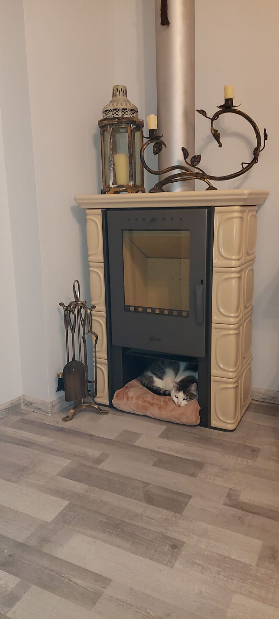 Koklinis židinys FLAMA ELDUR EKO (6 kW)