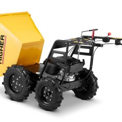 Motorinis karutis HP-09612 (3,4 kW, 300 kg)